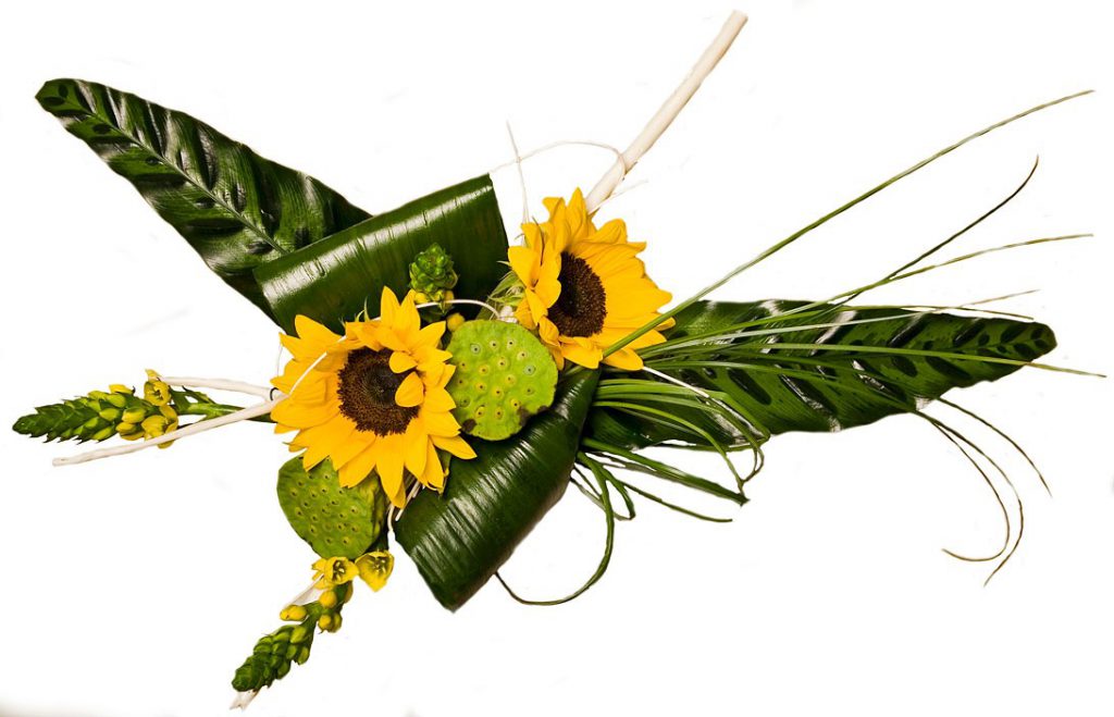 „Słonecznikowy duet”