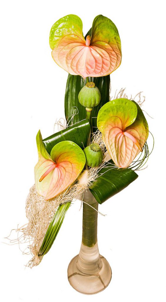 Bukiet z pistacjowego anturium