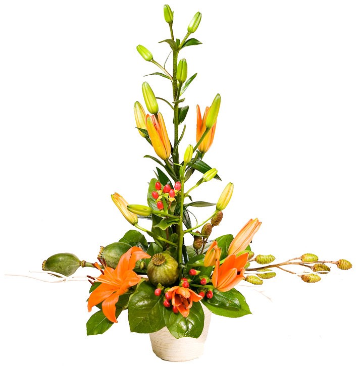 IKEBANA Z POMARAŃCZOWYCH LILII