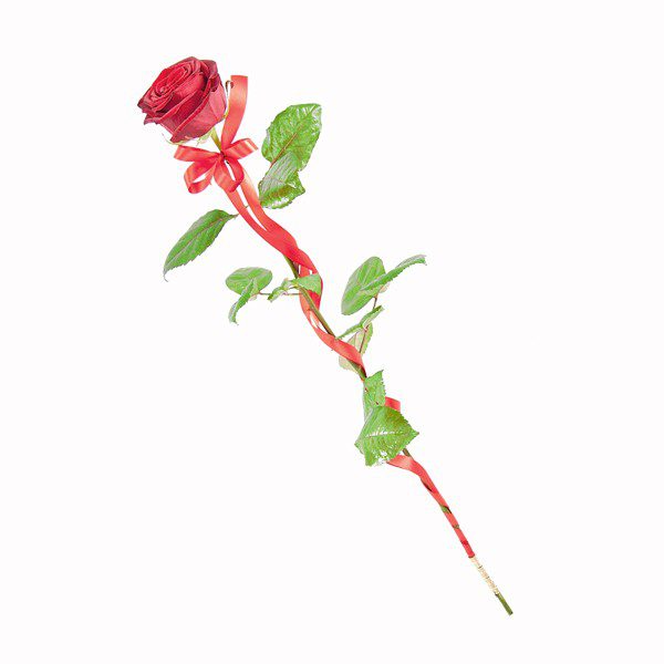 Raffaello z różą