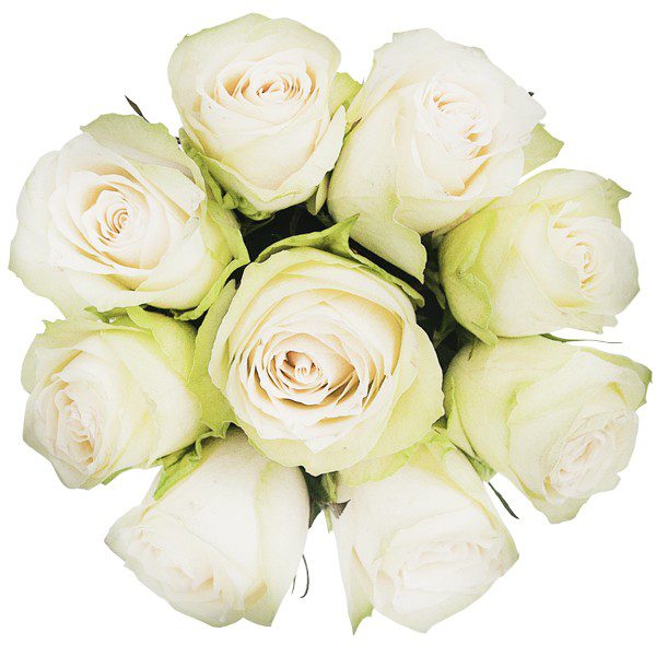 ,,Białe róże w okrągłym pudełku''