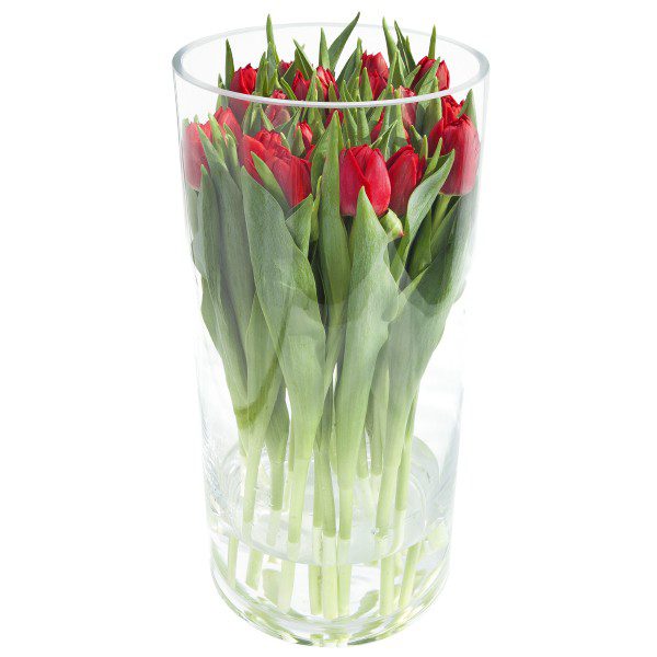Bukiet, Czerwone tulipany w szkle’